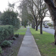 Illustration for article titled Pics from the Curbside: 2018-02-04 to Marpole at Dusk and Night